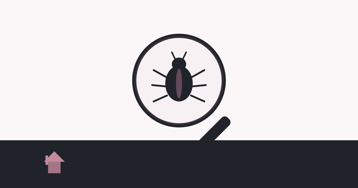 Petit insecte noir dans la maison : comment l&rsquo;identifier et agir